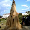 náhled sochy_2006_018.prev.jpg