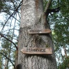 náhled rozelov_2011_022.prev.jpg
