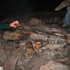 náhled rozelov_2011_029.prev.jpg