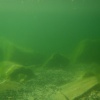 náhled lomecek_20120804-172746.prev.jpg
