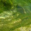 náhled lomecek_20120804-174056.prev.jpg