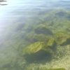 náhled lomecek_20120804-175444.prev.jpg