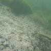 náhled lomecek_20120804-180556.prev.jpg