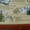 náhled lomecek_20120805-131726.prev.jpg