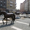 náhled praha_20130421_010.prev.jpg