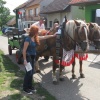 náhled morava_20140823_124612.prev.jpg