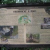 náhled hromnice_20140725_134154.prev.jpg