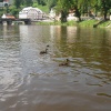 náhled u_fika_20140719_142542.prev.jpg