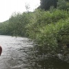 náhled zlata_koruna_20140721_141848.prev.jpg
