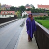 náhled zlata_koruna_20140721_182734.prev.jpg