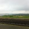 náhled zlata_koruna_20140722_103450.prev.jpg