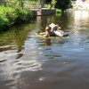 náhled vltava_20150815_140240.prev.jpg
