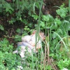 náhled amerika_karlstejn_20160619_174332.prev.jpg