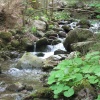 náhled spicak_20160521_155930.prev.jpg