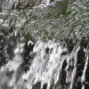 náhled odlezelske_vodopady_20160625_105520.prev.jpg