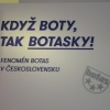náhled cheb_20160730_165244.prev.jpg