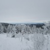 náhled pancir_20170107_133124.prev.jpg