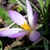 zvětšit náhled malesicka_skala_20190317_102100.prev.jpg
