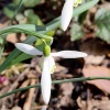 náhled malesicka_skala_20190317_102426.prev.jpg