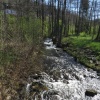 zvětšit náhled ostry_20190421_092440.prev.jpg