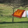 náhled ostry_20190421_092936.prev.jpg