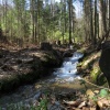 náhled ostry_20190421_105528.prev.jpg