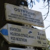 náhled ostry_20190421_123248.prev.jpg