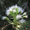 náhled ostry_20190421_143412.prev.jpg