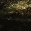 náhled ostry_20190421_160046.prev.jpg