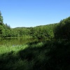 náhled zelenovske_rybniky_20190608_163816.prev.jpg