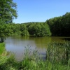 náhled zelenovske_rybniky_20190608_164016.prev.jpg