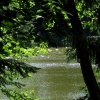 náhled zelenovske_rybniky_20190608_165930.prev.jpg