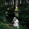 náhled zelenovske_rybniky_20190608_171030.prev.jpg