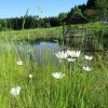 náhled zelenovske_rybniky_20190608_175622.prev.jpg