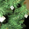 náhled snehulaci_20161217_122632.prev.jpg